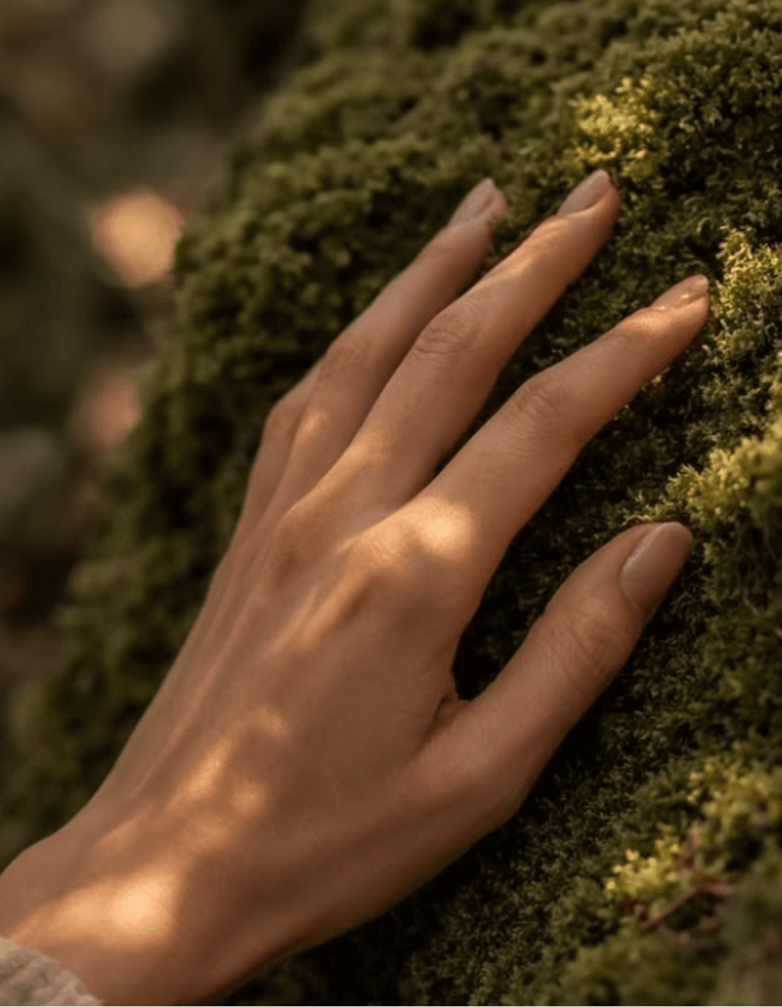 Thai Botanical & Textile Wealth